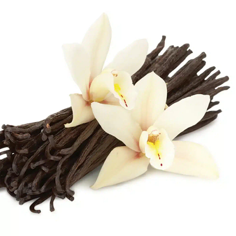 Vanilla Fragrance Oil