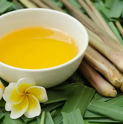 Lemongrass oil in white bowl beside long green leaves and flower