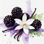black raspberries with a flawer of vanilla