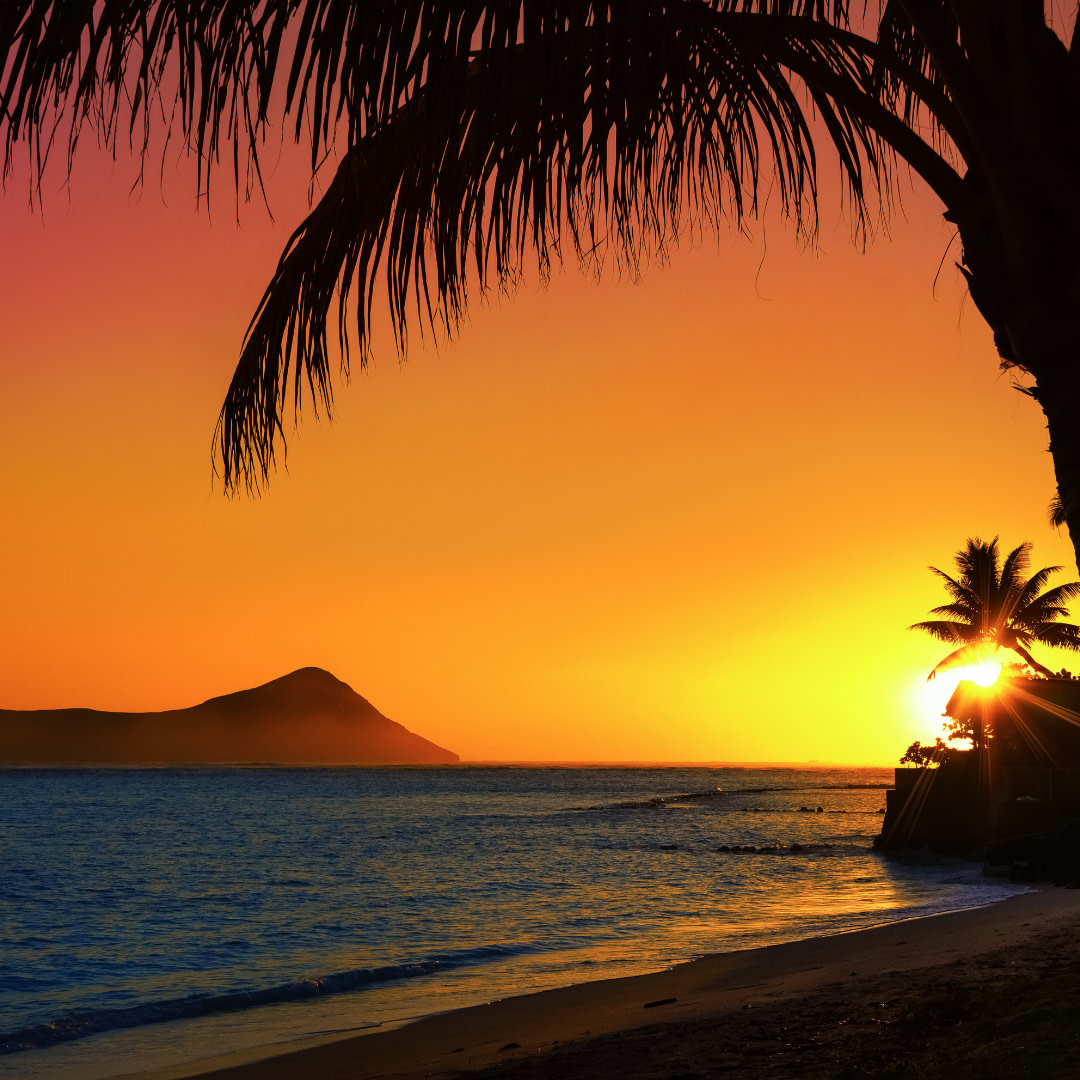 the sun sets behind palm trees on a tropical beach