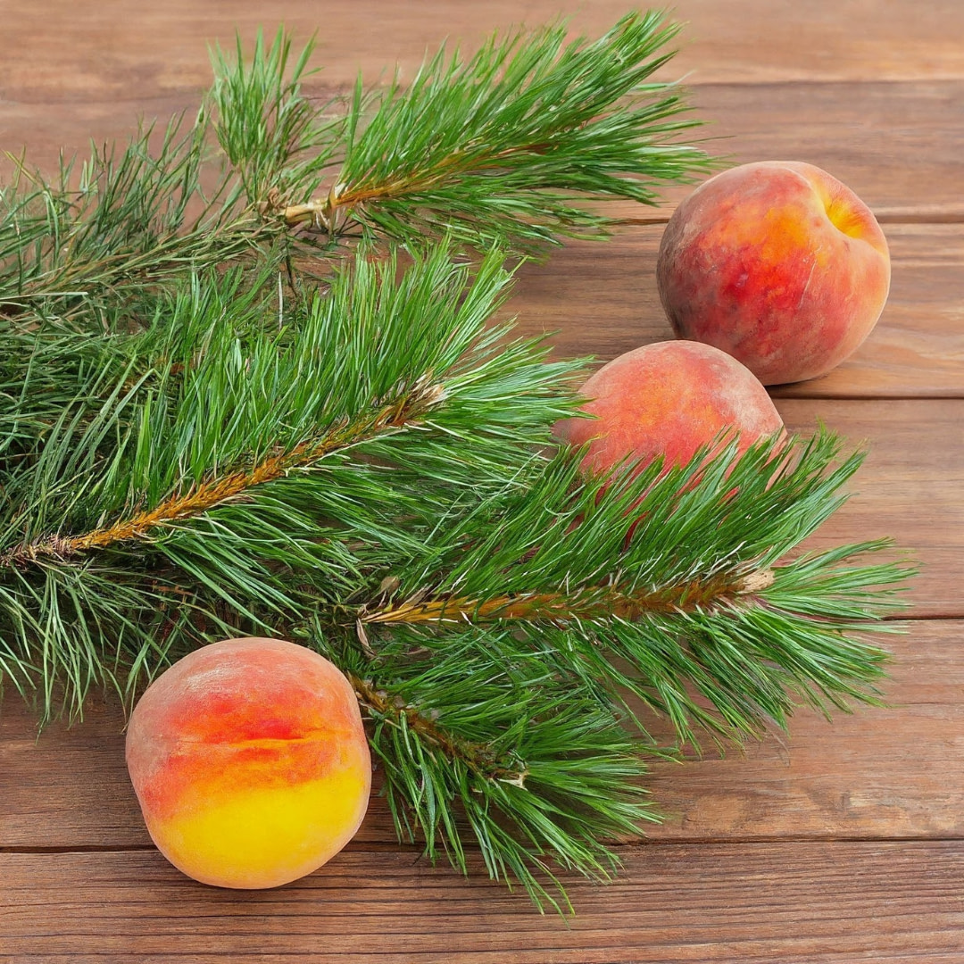 fresh peaches and pine branch on wooden background