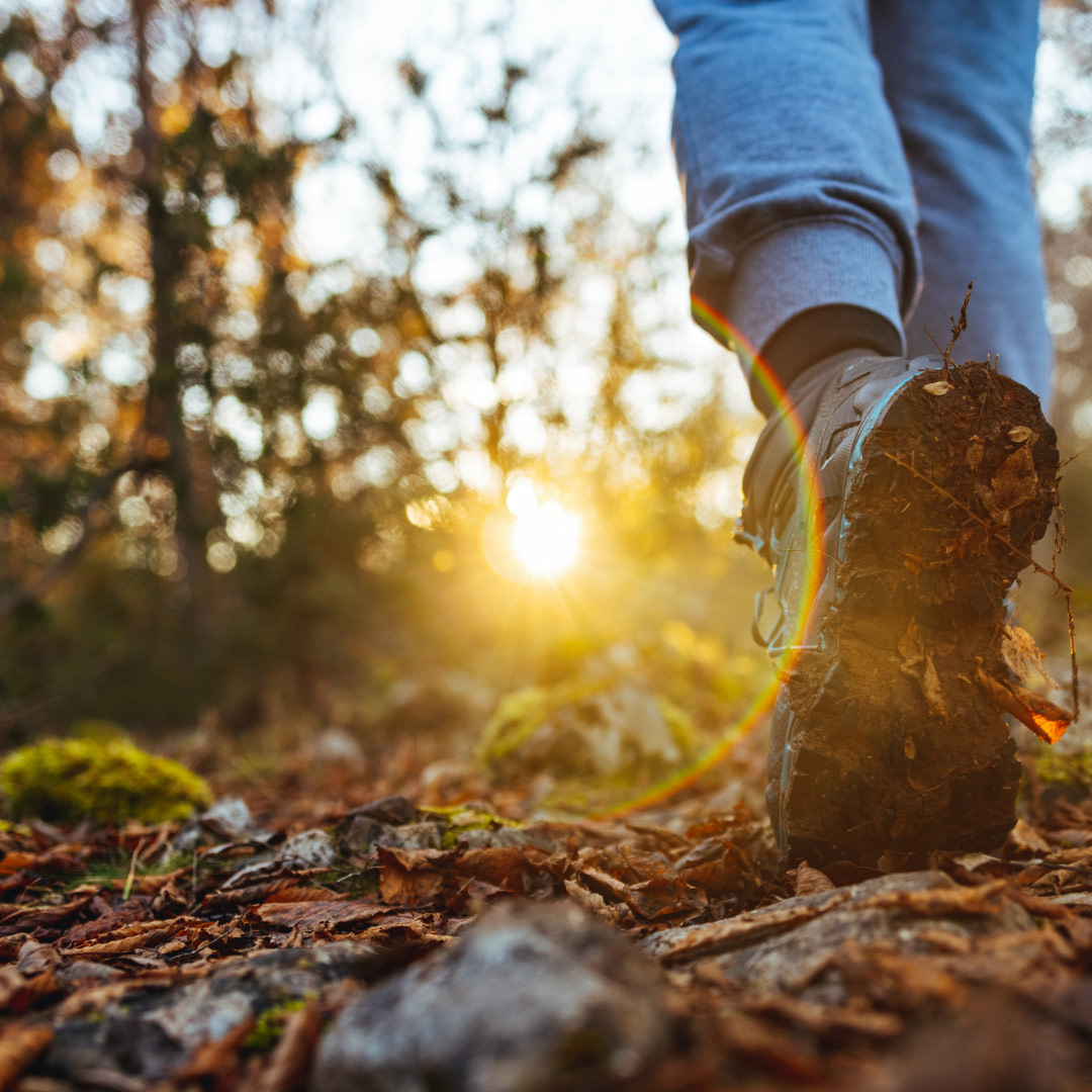 a person walking in the woods at sunset