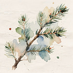 A piece of stem of Balsam Fir with green needles