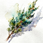 Tree branch