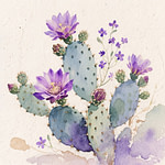 a cactus plant with pink flowers in the desert