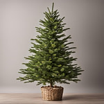 a small Christmas tree in a wicker basket