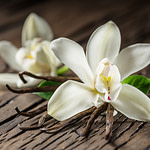 vanilla flowers and vanilla pods on a wooden table