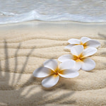 two white flowers on the sand near the ocean