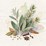 Balsam needles, sage leaves and spices seeds.