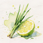 A lemongrass plant next to half gree lime.