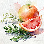 pomelo, lily of the valley and fresh green cedar leaves