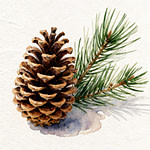 Pinecone next to green pine needles.