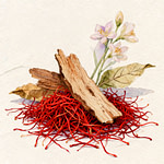 Saffron Flower with tobacco leaves in colorful representation