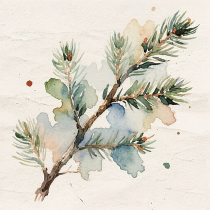 A piece of stem of Balsam Fir with green needles