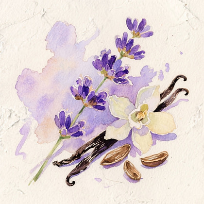 lavender stem with purple flowers beside a white vanilla blossom and beans