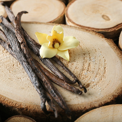 vanilla beans and logs on a wooden table