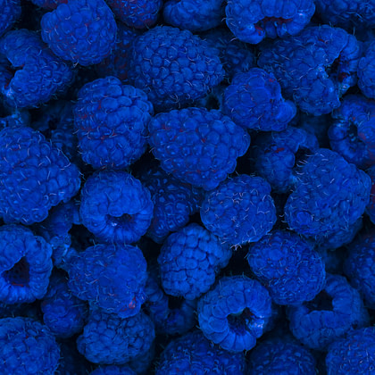 a close up of a pile of blue raspberries