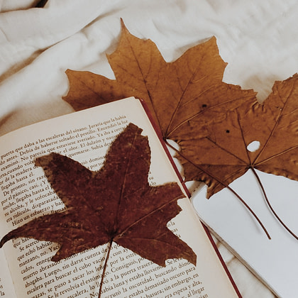 autumn leaves on an open book