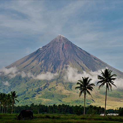 a large mountain with palm trees in front of it
