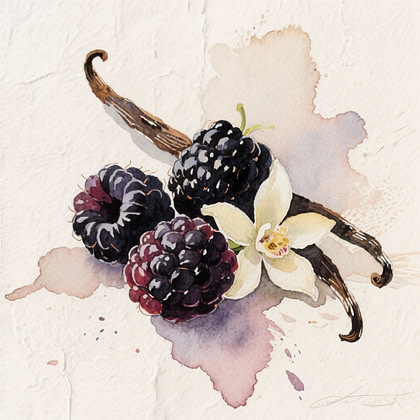 a few pieces of fresh black raspberries with a vanilla pod and a vanilla flower.