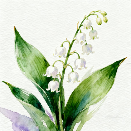 White flowers with green big leaves