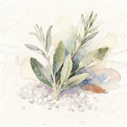 Sea Salt and Sage