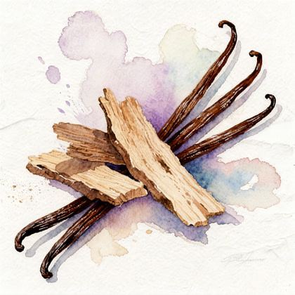 wood chips with vanilla pods