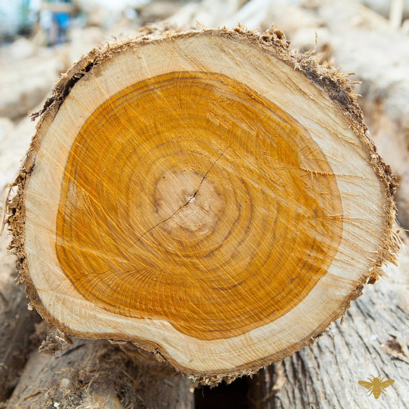 a close up of a piece of wood that has been cut