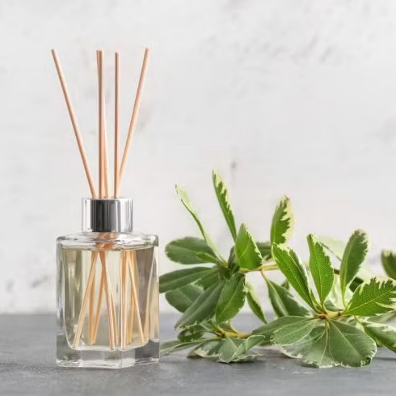 oil diffuser in a glass bottle on a grey background