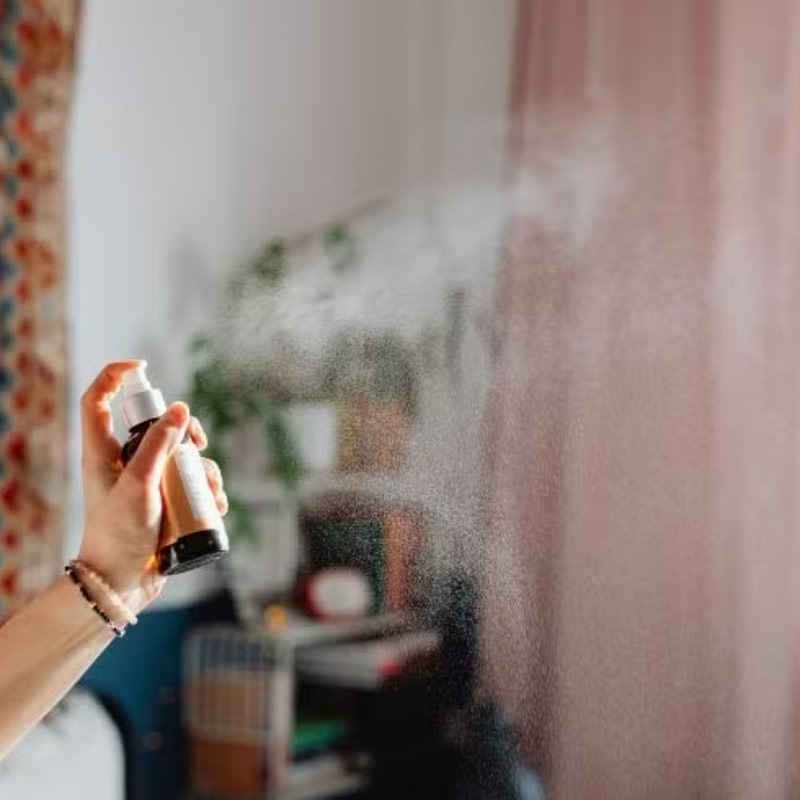 a person holding an air freshener in front of a couch