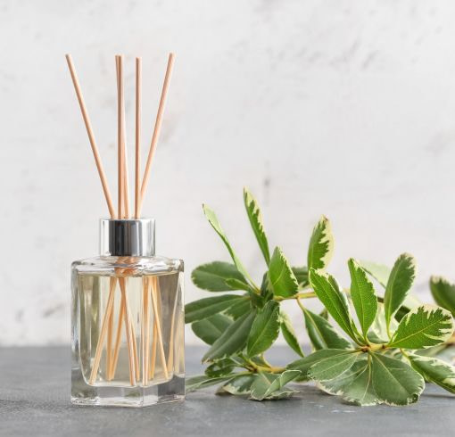 a reed diffuser sitting next to a green plant