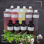white and amber bottles of fragrance in herbs and flower scene